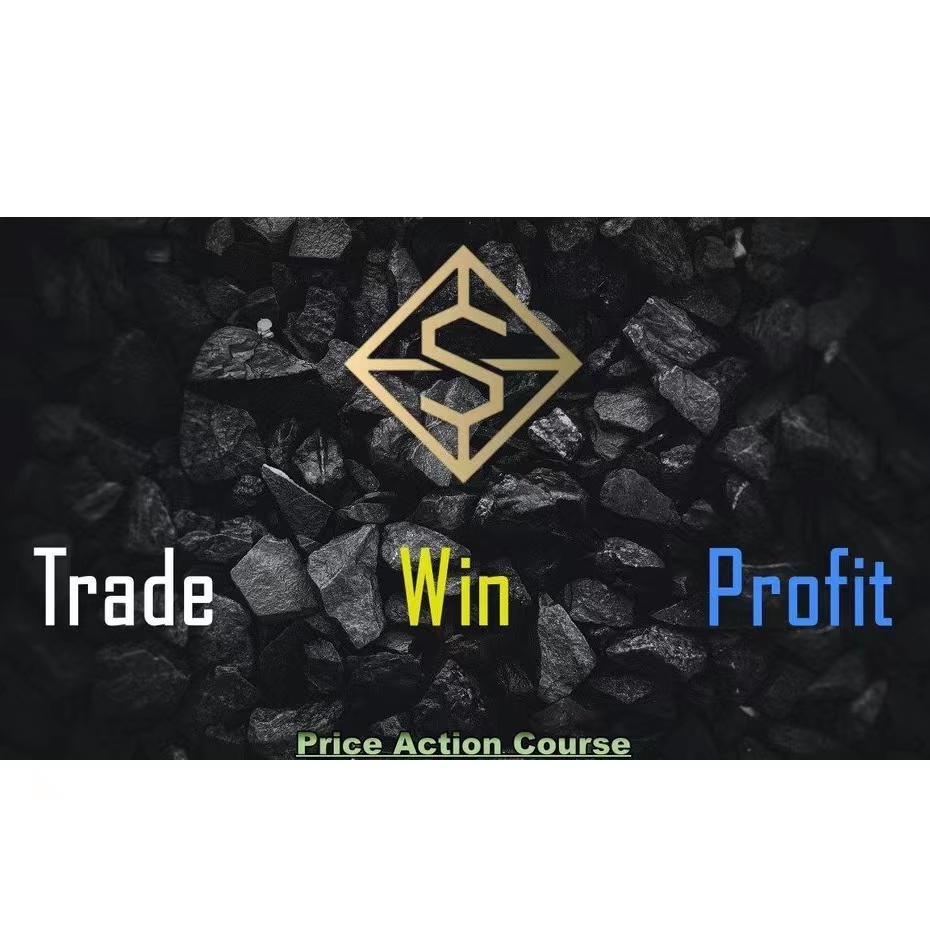 TWP Price Action Course 中英字幕