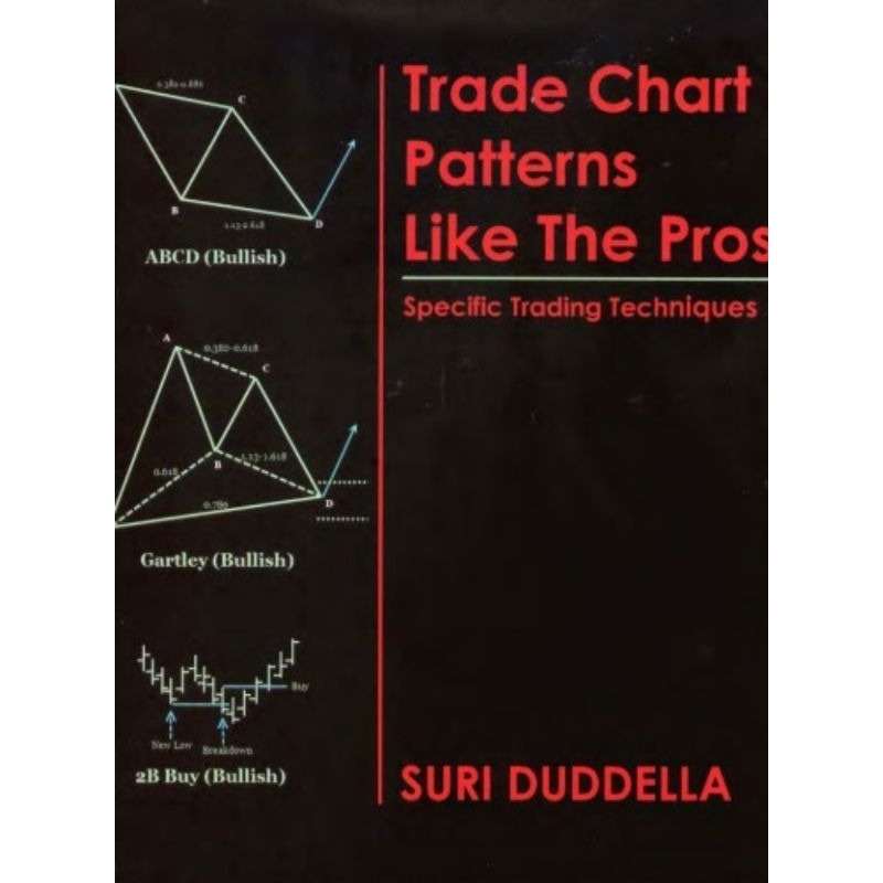 Trade Chart Patterns Like the Pros-TheTrendFollowing