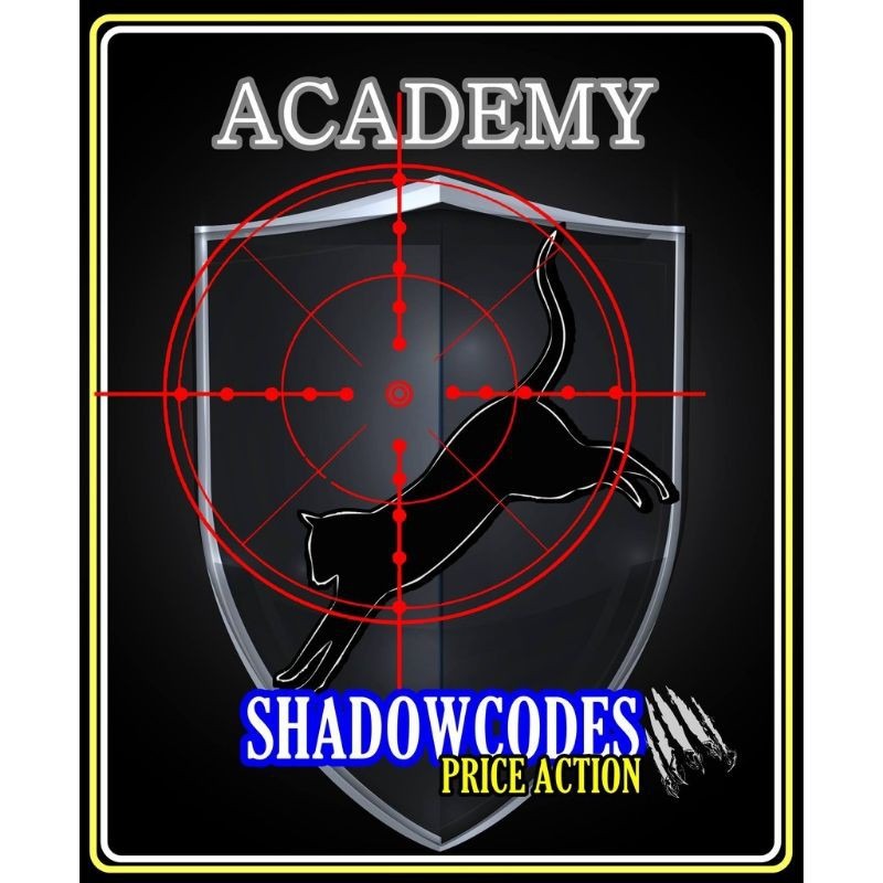 Hanzo Shadowcodes Academy