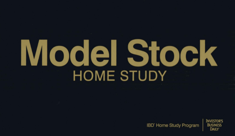 IBD Model Stock Analysis Examples 牛股模型书 高清PDF 159页 彩色版和黑白版