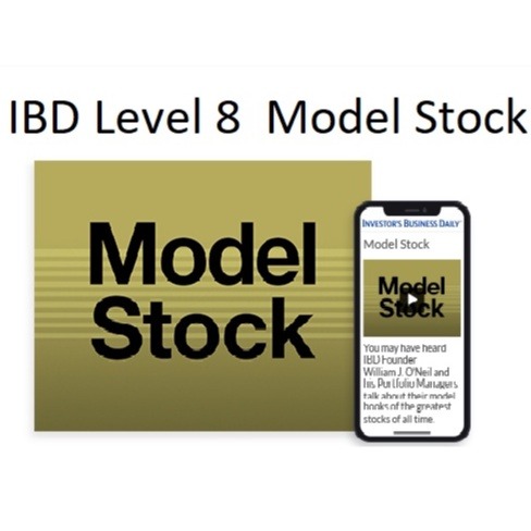 IBD Investor Business Daily Level 8 Model Stock 中英字幕