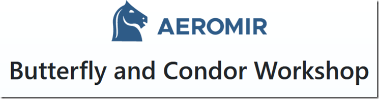 Aeromir – Butterfly and Condor Workshop