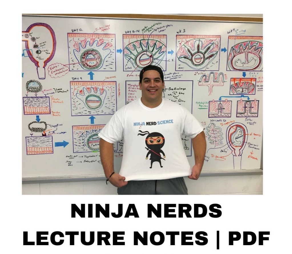 Ninja Nerd Lecture Notes PDF