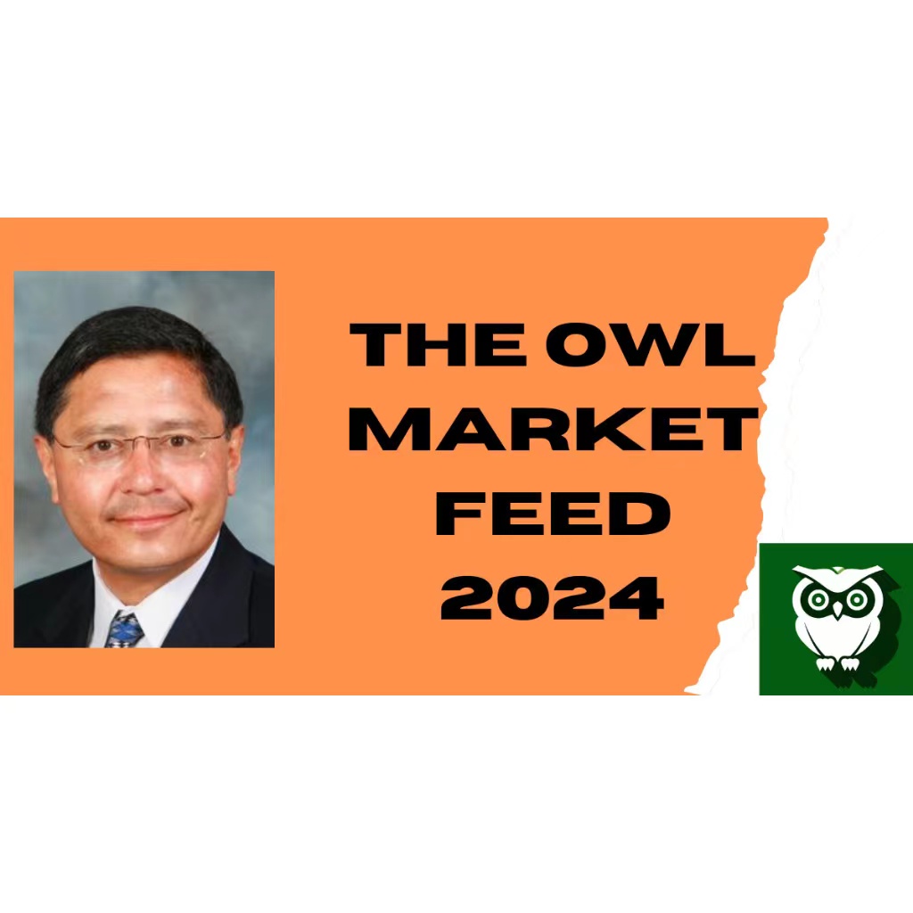 Gil Morales- The owl market feed 2025  会员订阅跟着吉尔学习交易