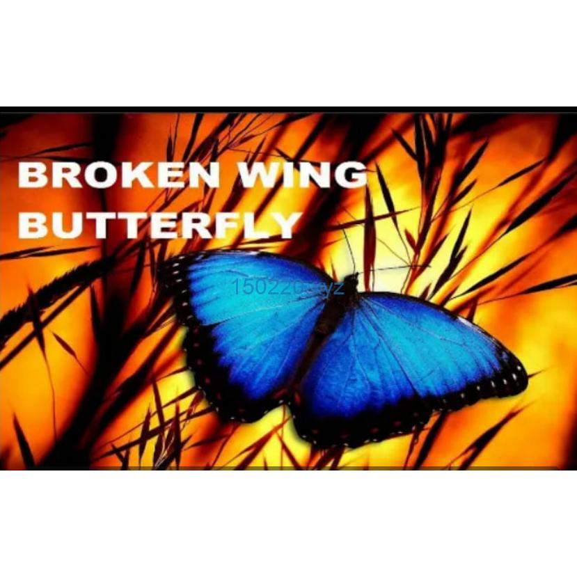 John Locke – Broken Wing Butterfly Master Track Series-TheTrendFollowing