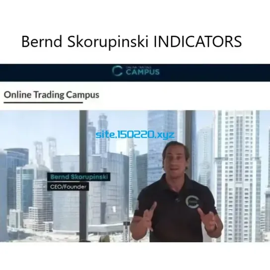 Bernd Skorupinski INDICATORS  for TradingView