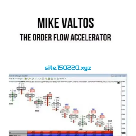 Mike Valtos – The Order Flow Accelerator November 2024