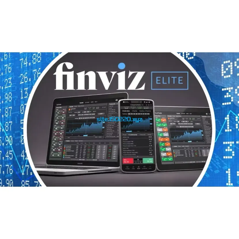 Finviz Masterclass – Stock Trading Software